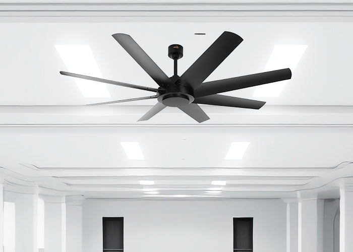 Airex 8 Blades Ceiling Fan By The Fan Studio