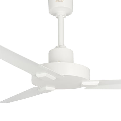 Amaze Ceiling Fan By The Fan Studio